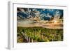 USA, Washington State, Yakima Valley. Sunrise on a vineyard.-Richard Duval-Framed Photographic Print