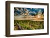 USA, Washington State, Yakima Valley. Sunrise on a vineyard.-Richard Duval-Framed Photographic Print