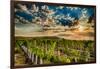 USA, Washington State, Yakima Valley. Sunrise on a vineyard.-Richard Duval-Framed Photographic Print