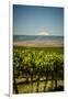 USA, Washington State, Yakima Valley.-Richard Duval-Framed Photographic Print