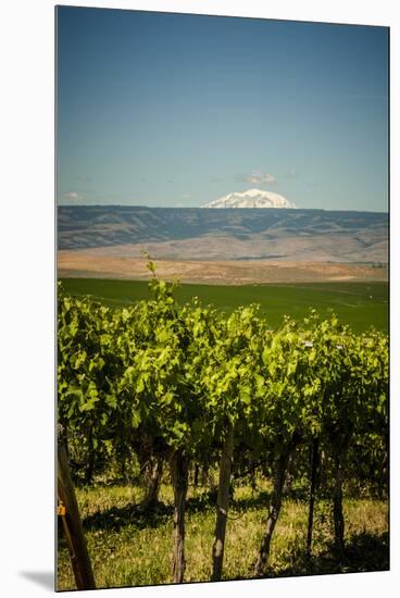 USA, Washington State, Yakima Valley.-Richard Duval-Mounted Premium Photographic Print