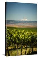 USA, Washington State, Yakima Valley.-Richard Duval-Stretched Canvas