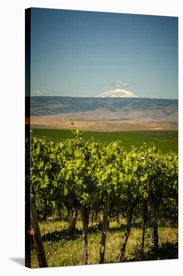 USA, Washington State, Yakima Valley.-Richard Duval-Stretched Canvas