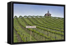 USA, Washington. Syrah Vines at Red Willow Vineyard, Yakima Ava-Janis Miglavs-Framed Stretched Canvas