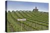 USA, Washington. Syrah Vines at Red Willow Vineyard, Yakima Ava-Janis Miglavs-Stretched Canvas