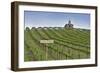 USA, Washington. Syrah Vines at Red Willow Vineyard, Yakima Ava-Janis Miglavs-Framed Photographic Print