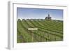 USA, Washington. Syrah Vines at Red Willow Vineyard, Yakima Ava-Janis Miglavs-Framed Photographic Print