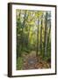 USA, Washington, Tiger Mountain Trail.-Jamie & Judy Wild-Framed Photographic Print