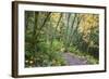 USA, Washington, Tiger Mountain Trail.-Jamie & Judy Wild-Framed Photographic Print