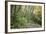 USA, Washington, Tiger Mountain Trail.-Jamie & Judy Wild-Framed Photographic Print