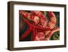 USA, Washington, Tongue Point. Blood and Rainbow Star in Tide Pool-Jaynes Gallery-Framed Photographic Print