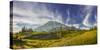 USA, Washington. Trail at Mazama Ridge Above Paradise, Mt. Rainier-Gary Luhm-Stretched Canvas