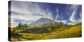 USA, Washington. Trail at Mazama Ridge Above Paradise, Mt. Rainier-Gary Luhm-Stretched Canvas