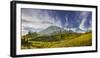 USA, Washington. Trail at Mazama Ridge Above Paradise, Mt. Rainier-Gary Luhm-Framed Photographic Print