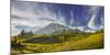 USA, Washington. Trail at Mazama Ridge Above Paradise, Mt. Rainier-Gary Luhm-Mounted Photographic Print