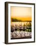 USA, Washington, Walla Walla. An outdoor tasting at winery in Walla Walla wine country.-Richard Duval-Framed Photographic Print