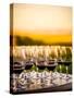 USA, Washington, Walla Walla. An outdoor tasting at winery in Walla Walla wine country.-Richard Duval-Stretched Canvas