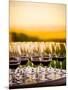 USA, Washington, Walla Walla. An outdoor tasting at winery in Walla Walla wine country.-Richard Duval-Mounted Photographic Print