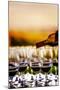 USA, Washington, Walla Walla. An outdoor tasting at winery in Walla Walla wine country.-Richard Duval-Mounted Photographic Print