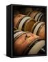 USA, Washington, Walla Walla. Barrel room in Walla Walla winery.-Richard Duval-Framed Stretched Canvas