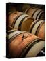 USA, Washington, Walla Walla. Barrel room in Walla Walla winery.-Richard Duval-Stretched Canvas