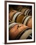 USA, Washington, Walla Walla. Barrel room in Walla Walla winery.-Richard Duval-Framed Photographic Print