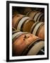 USA, Washington, Walla Walla. Barrel room in Walla Walla winery.-Richard Duval-Framed Photographic Print