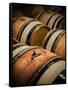 USA, Washington, Walla Walla. Barrel room in Walla Walla winery.-Richard Duval-Framed Stretched Canvas