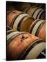 USA, Washington, Walla Walla. Barrel room in Walla Walla winery.-Richard Duval-Stretched Canvas