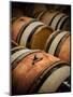 USA, Washington, Walla Walla. Barrel room in Walla Walla winery.-Richard Duval-Mounted Photographic Print