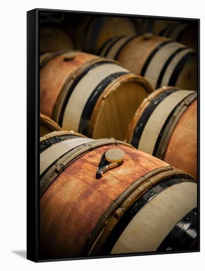 USA, Washington, Walla Walla. Barrel room in Walla Walla winery.-Richard Duval-Framed Stretched Canvas