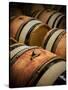 USA, Washington, Walla Walla. Barrel room in Walla Walla winery.-Richard Duval-Stretched Canvas