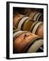 USA, Washington, Walla Walla. Barrel room in Walla Walla winery.-Richard Duval-Framed Photographic Print