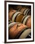 USA, Washington, Walla Walla. Barrel room in Walla Walla winery.-Richard Duval-Framed Premium Photographic Print