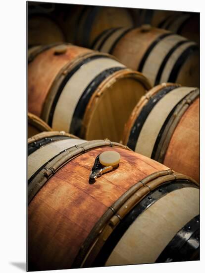 USA, Washington, Walla Walla. Barrel room in Walla Walla winery.-Richard Duval-Mounted Photographic Print