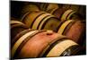 USA, Washington, Walla Walla. Barrel room in Walla Walla winery.-Richard Duval-Mounted Photographic Print