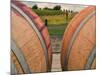 USA, Washington, Walla Walla. Barrels in Walla Walla wine country.-Richard Duval-Mounted Photographic Print