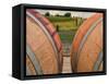 USA, Washington, Walla Walla. Barrels in Walla Walla wine country.-Richard Duval-Framed Stretched Canvas