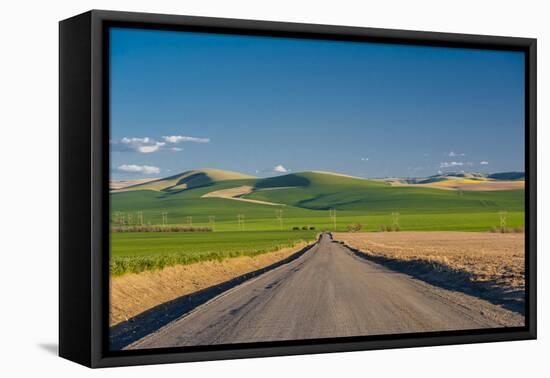 USA, Washington, Walla Walla. Road to Blue Mountains in Wine Country-Richard Duval-Framed Stretched Canvas