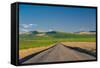 USA, Washington, Walla Walla. Road to Blue Mountains in Wine Country-Richard Duval-Framed Stretched Canvas