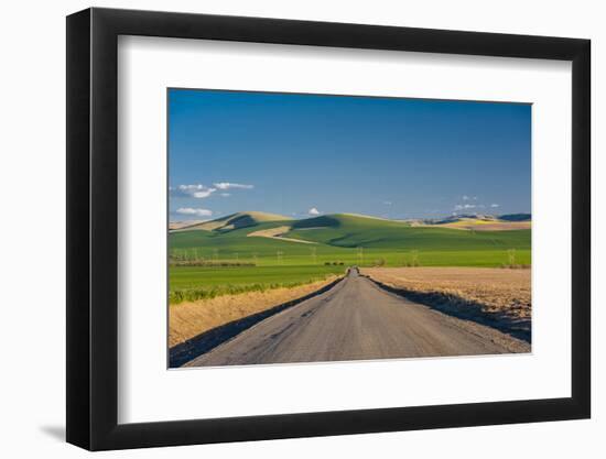 USA, Washington, Walla Walla. Road to Blue Mountains in Wine Country-Richard Duval-Framed Photographic Print