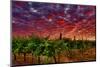 USA, Washington, Walla Walla. Scenes from wine country-Richard Duval-Mounted Photographic Print