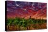 USA, Washington, Walla Walla. Scenes from wine country-Richard Duval-Stretched Canvas