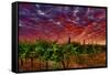 USA, Washington, Walla Walla. Scenes from wine country-Richard Duval-Framed Stretched Canvas