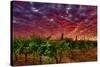 USA, Washington, Walla Walla. Scenes from wine country-Richard Duval-Stretched Canvas