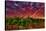 USA, Washington, Walla Walla. Scenes from wine country-Richard Duval-Stretched Canvas