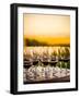 USA, Washington, Walla Walla. Tasting at Winery in Wine Country-Richard Duval-Framed Photographic Print