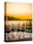 USA, Washington, Walla Walla. Tasting at Winery in Wine Country-Richard Duval-Stretched Canvas