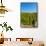 USA, Washington, Walla Walla. Vineyard in Walla Walla Wine Country-Richard Duval-Framed Stretched Canvas displayed on a wall