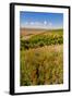 USA, Washington, Walla Walla.Wildflowers in a Vineyard in Wine Country-Richard Duval-Framed Photographic Print